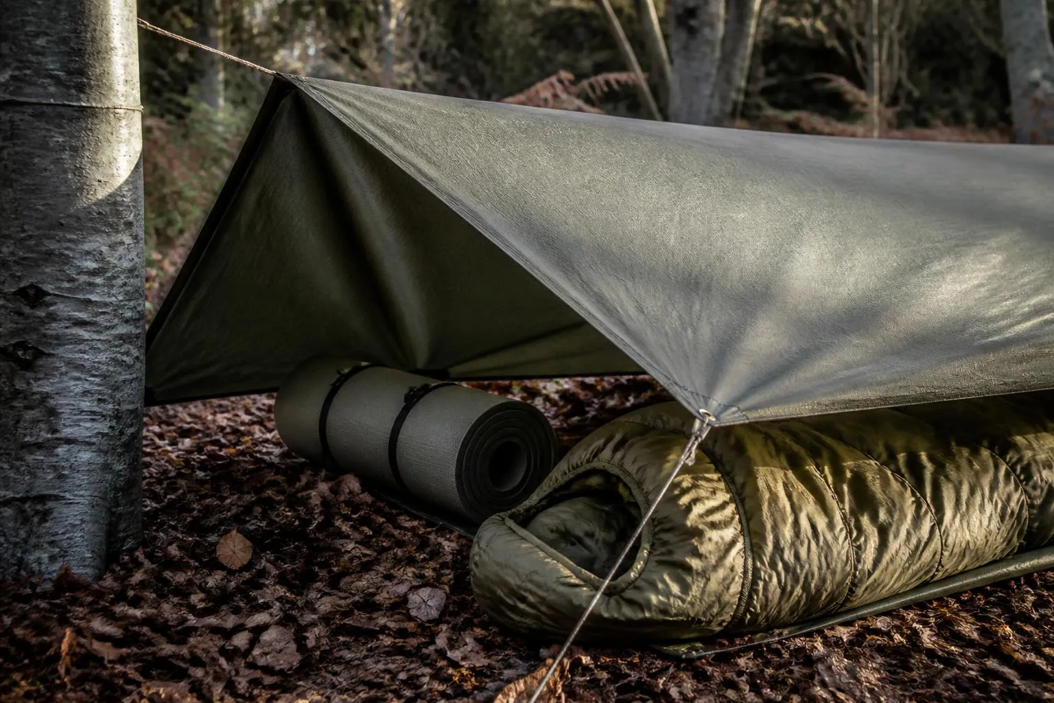 un tarp vert tendu entre deux troncs au-dessus d'un matelas roulé et d'un sac de couchage, dans un sous-bois à la tombée du jour